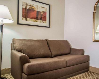 Comfort Suites Lumberton - image 6