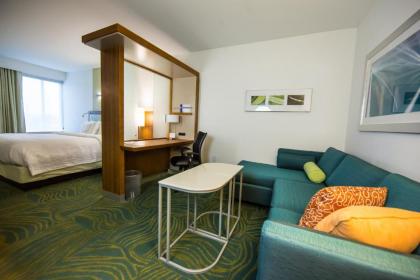 SpringHill Suites Lumberton - image 12