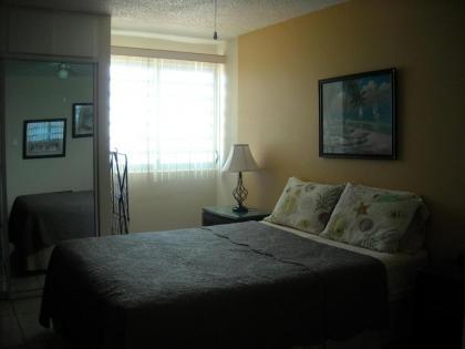 Ocean Front Apartment - image 14