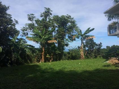 Million dollar view in Puerto Rico - image 14