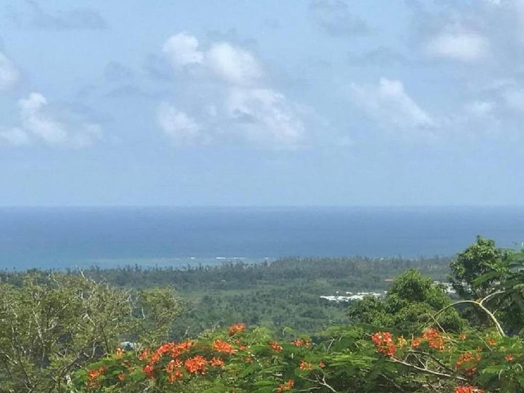 Million dollar view in Puerto Rico - image 2