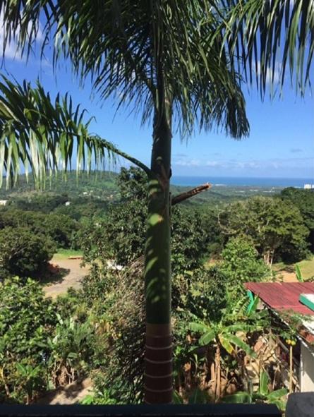 Million dollar view in Puerto Rico - image 7