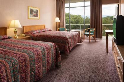 Luray Caverns Motels - image 6