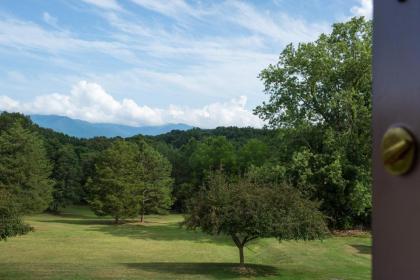 Luray Caverns Motels - image 8