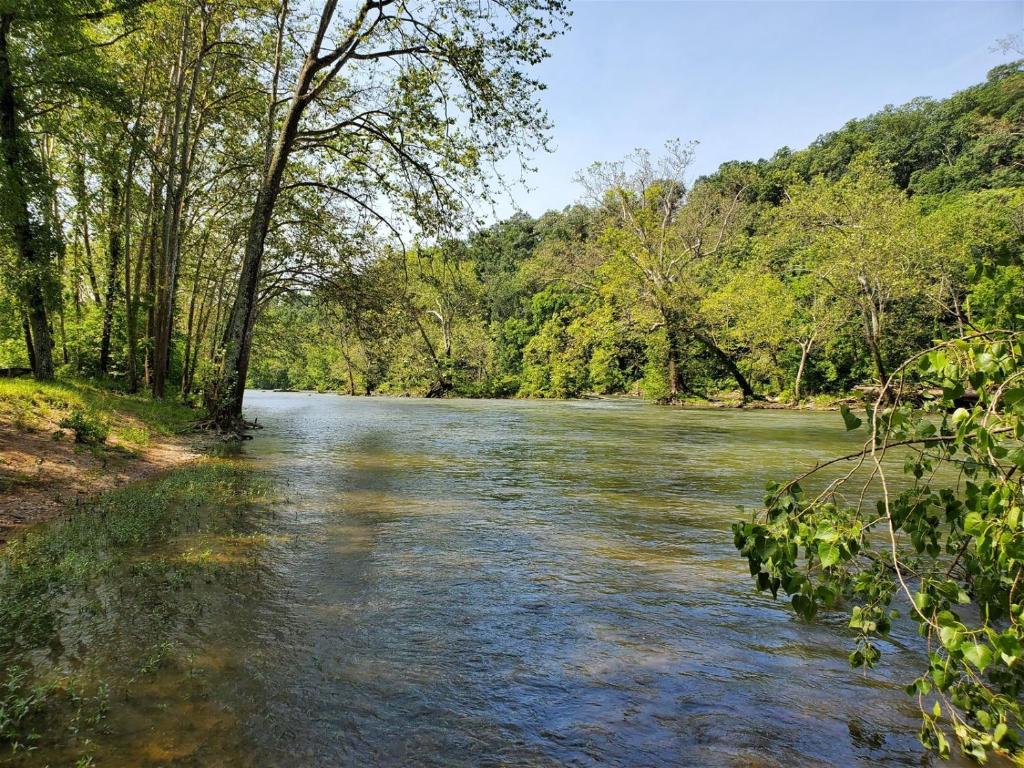 Steel Driver River Cabin - image 7