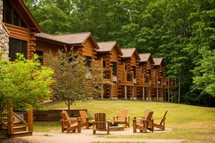 The Rockwell Lake Lodge - image 9