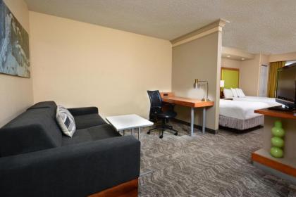 SpringHill Suites by Marriott Lynchburg Airport/University Area - image 10