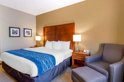 Comfort Inn & Suites Lynchburg Airport - University Area - image 15