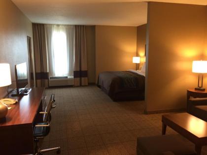 Comfort Inn & Suites Lynchburg Airport - University Area - image 3