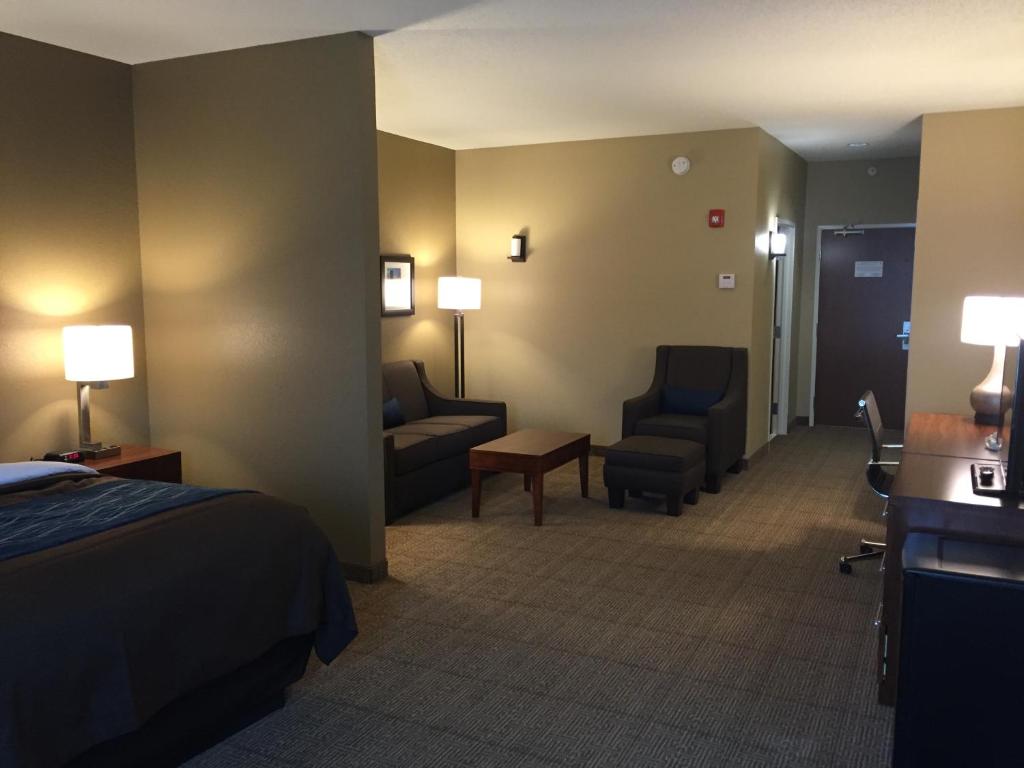 Comfort Inn & Suites Lynchburg Airport - University Area - image 5