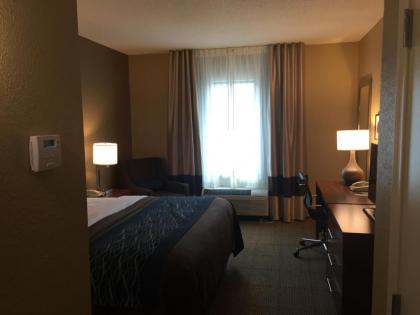 Comfort Inn & Suites Lynchburg Airport - University Area - image 7