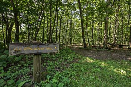 Wintergreen Home with Deck - Near Skiing and Hiking! - image 11