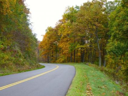 Cabin Creekwood Lyndhurst