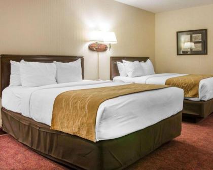 Comfort Inn Lakeside - Mackinaw City - image 11