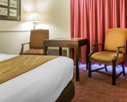 Comfort Inn Lakeside - Mackinaw City - image 3