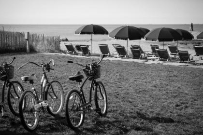 Madison Beach Hotel Curio Collection by Hilton - image 2