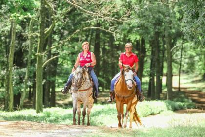 Southern Cross Guest Ranch - image 5