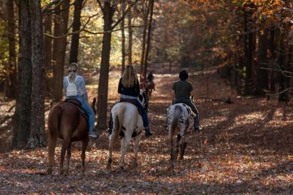 Southern Cross Guest Ranch - image 7