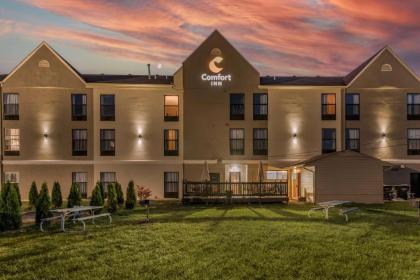 Comfort Inn Madison - image 12