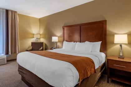 Comfort Inn Madison - image 14