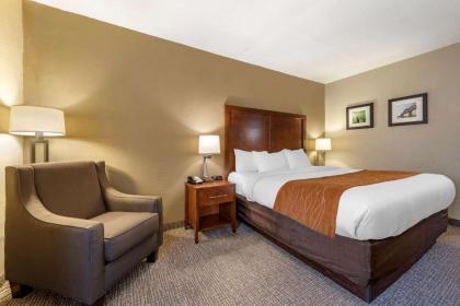 Comfort Inn Madison - image 15