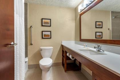 Comfort Inn Madison - image 3