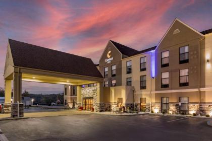 Comfort Inn Madison - image 6