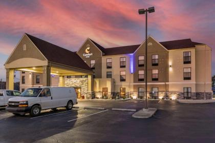 Comfort Inn Madison - image 8