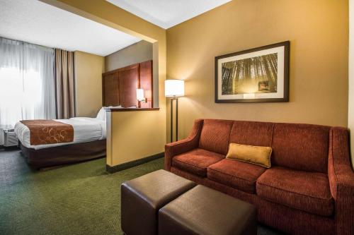 Comfort Suites Madison - image 2