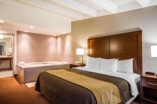 Comfort Inn & Suites Madison - Airport - image 4