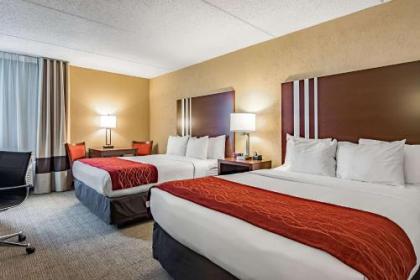 Comfort Inn Madison - Downtown - image 5