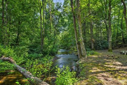 Tellico Plains Cabin - 25 Acres Backyard Creek! - image 15