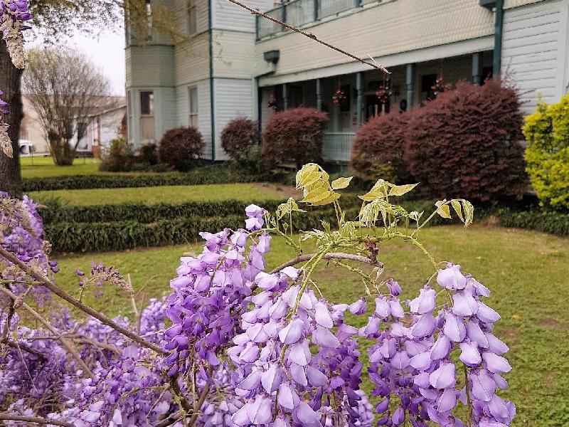 Woodbine Hotel And Restaurant - image 5