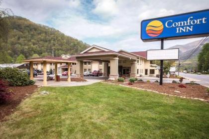 Comfort Inn near Great Smoky Mountain National Park - image 5