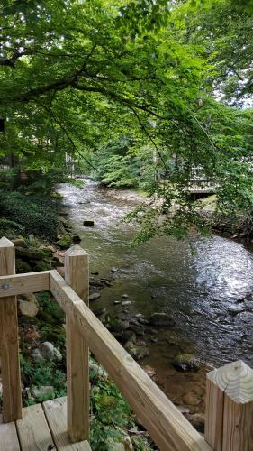 Cozy Creek Cottages - image 3