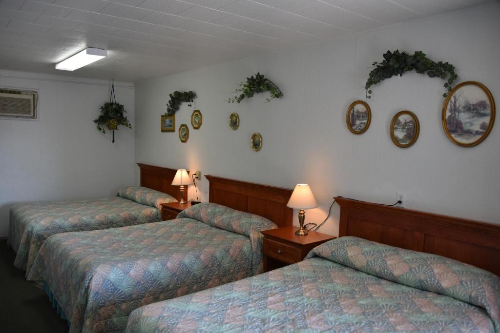 Royals Inn Motel - image 6