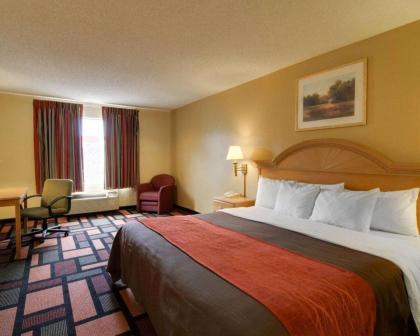 Quality Inn & Suites - image 12