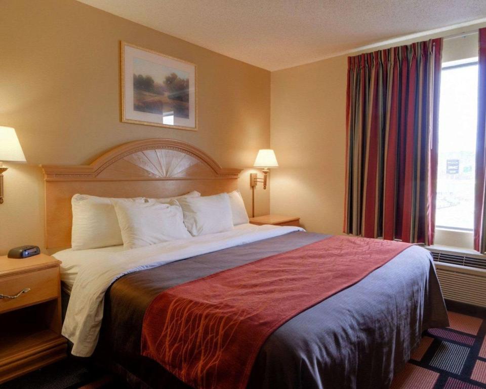 Quality Inn & Suites - image 2