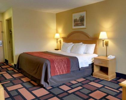 Quality Inn & Suites - image 7