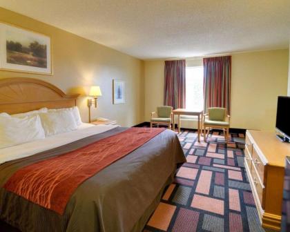 Quality Inn & Suites - image 9