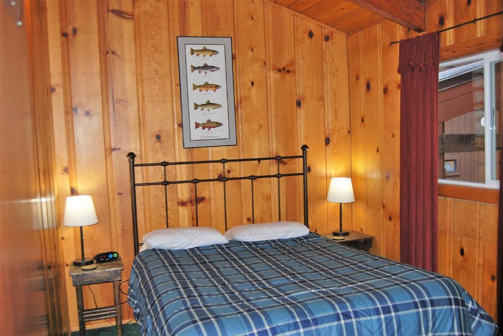 Edelweiss Lodge - image 3