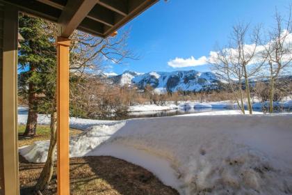 Holiday homes in mammoth Lakes California