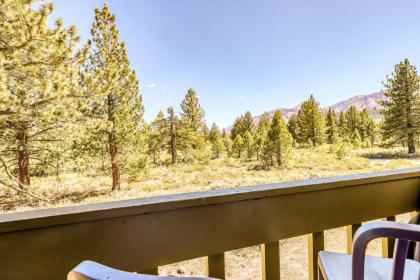 Holiday homes in mammoth Lakes California