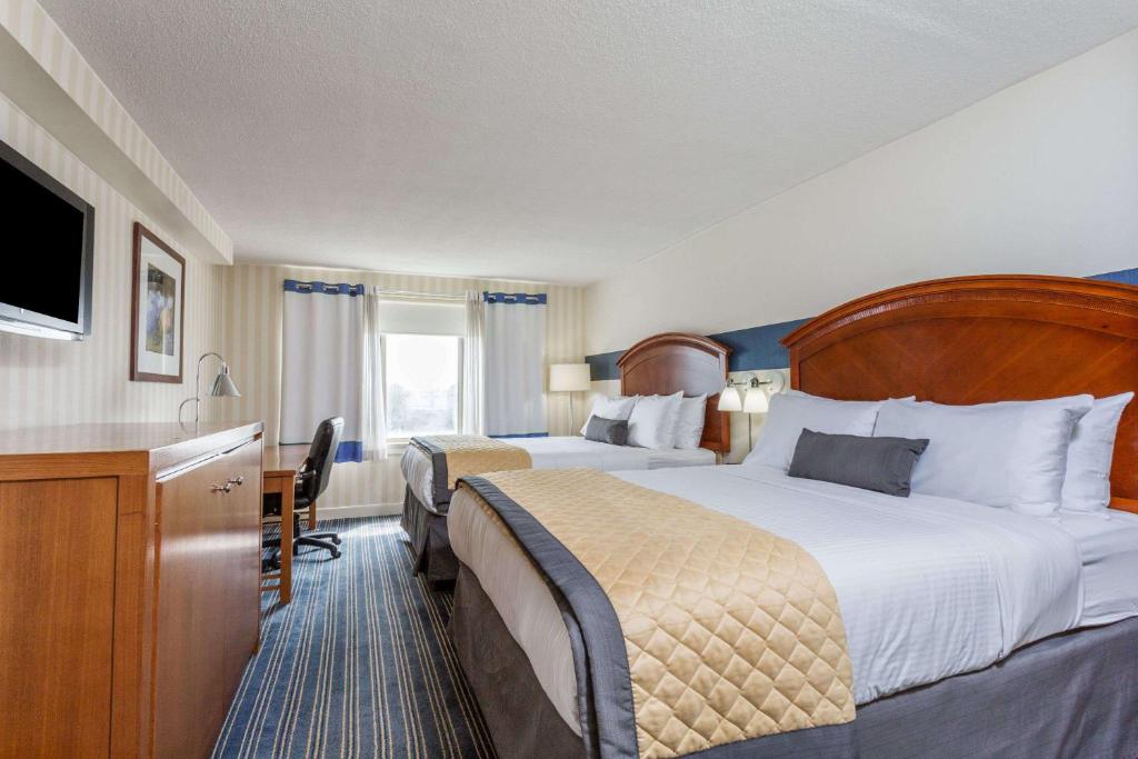 Wyndham Garden Manassas - image 4