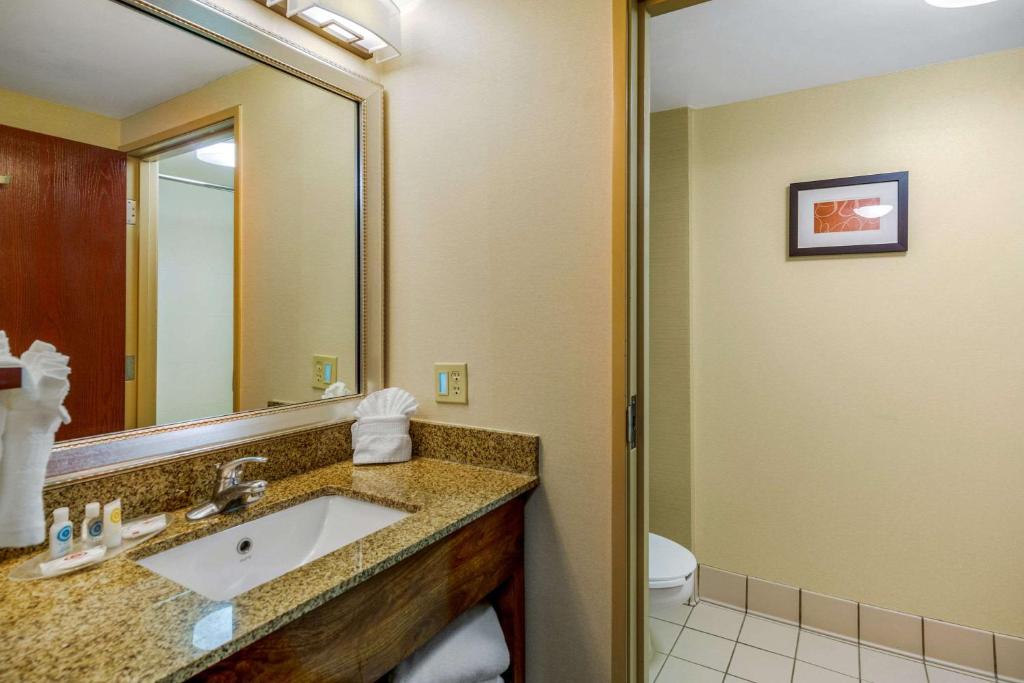 Comfort Suites Manassas - image 2