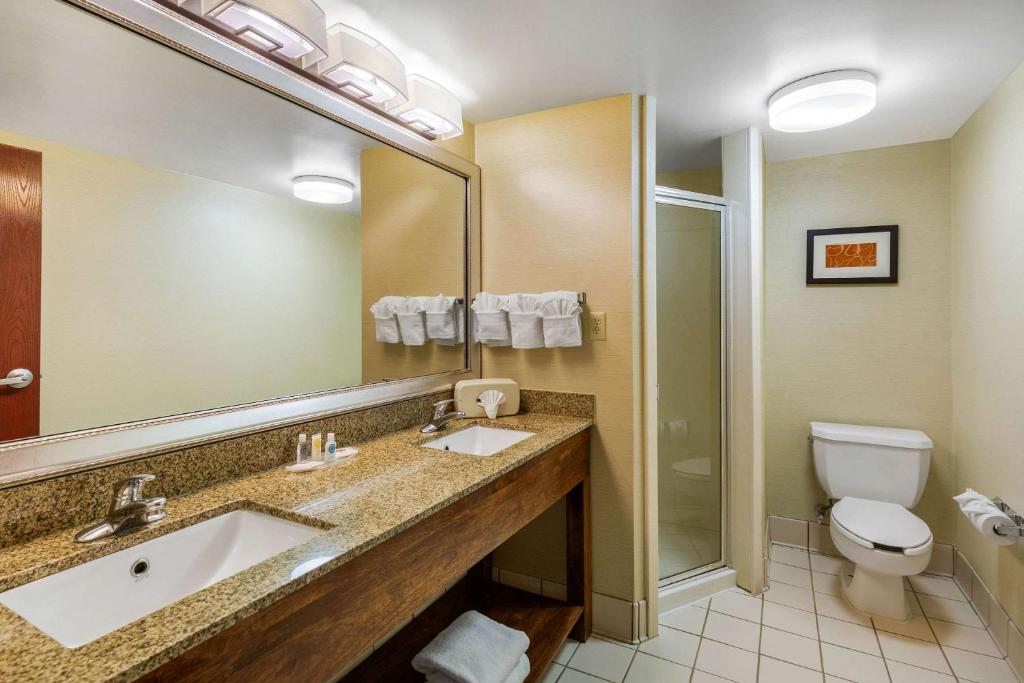 Comfort Suites Manassas - image 6