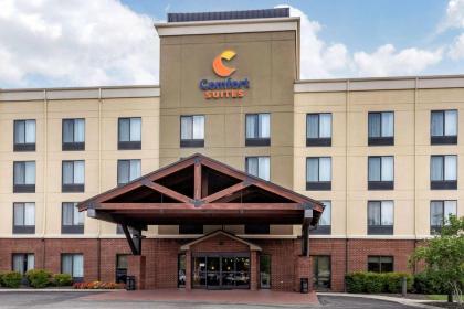 Comfort Suites Manchester - image 5