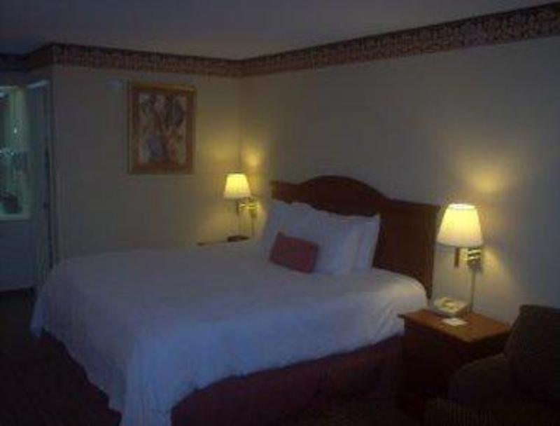 Econo Lodge Inn & Suites Manchester - image 3