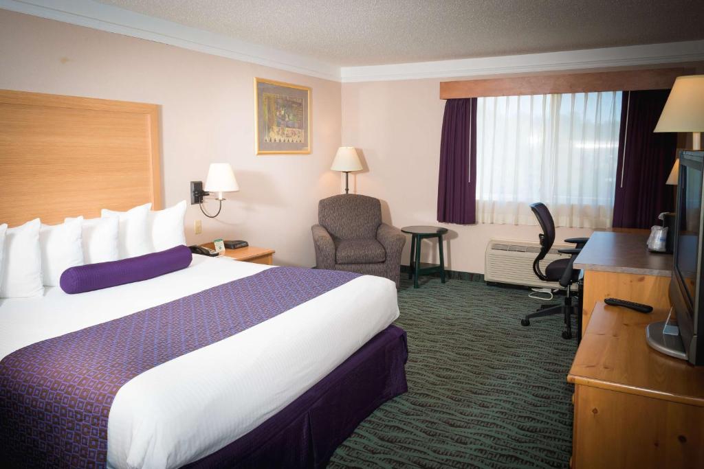 Best Western PLUS Executive Court Inn & Conference Center - image 7