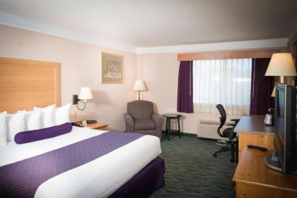 Best Western PLUS Executive Court Inn & Conference Center - image 8